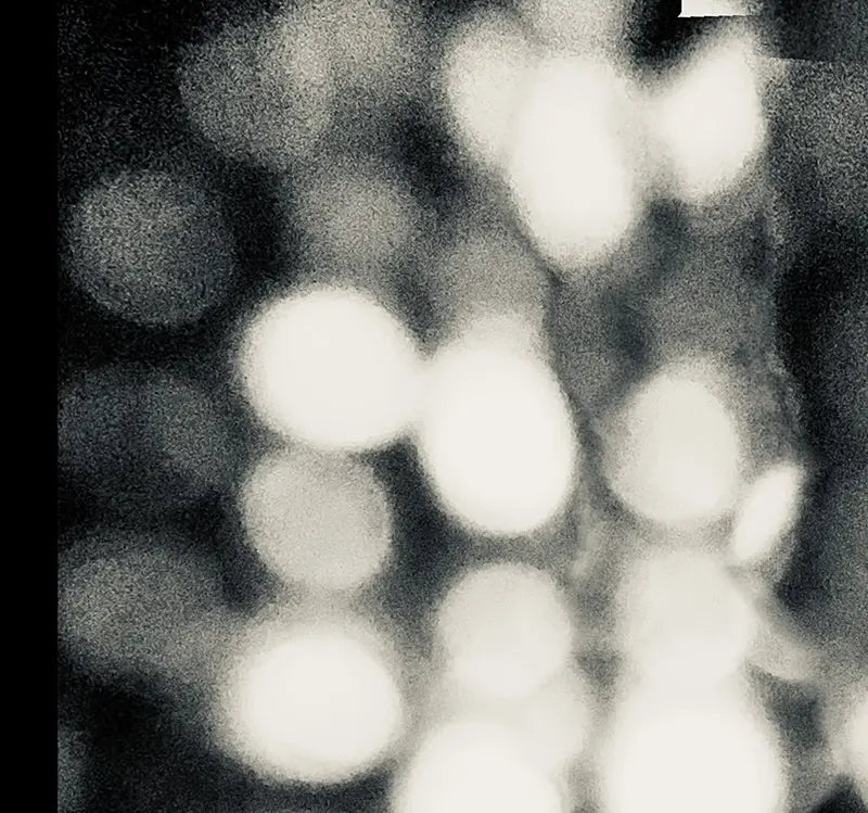 Into the light