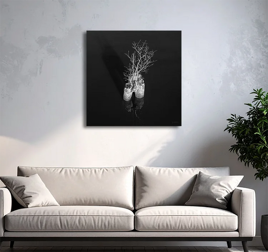 schwarz weiß foto, ein kleiner baum steht auf einem Pfahl in schwarzem Wasser, an heller Wand hängend mit hellem Sofa