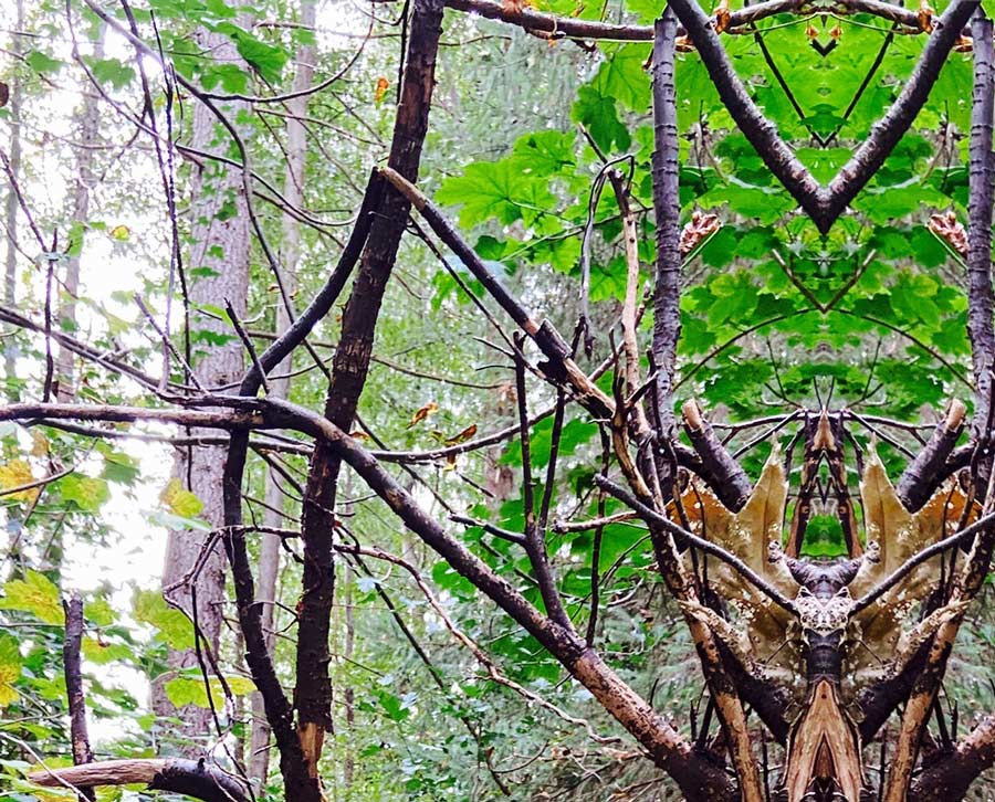 Gespiegeltes foto aus dem Wald, Wurzeln sehen jetzt wie eine große Spinne  aus, Details Äste mit Blättern