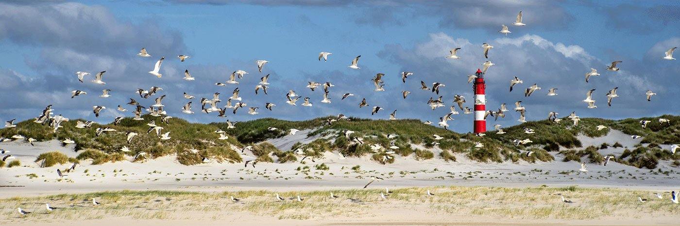Möven fliegen über einen Strand mit Leuchtturm