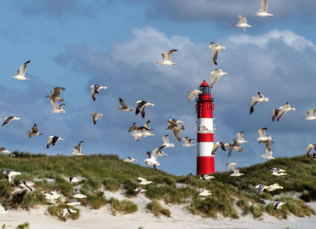 Strandleben - Kunst-Direkt