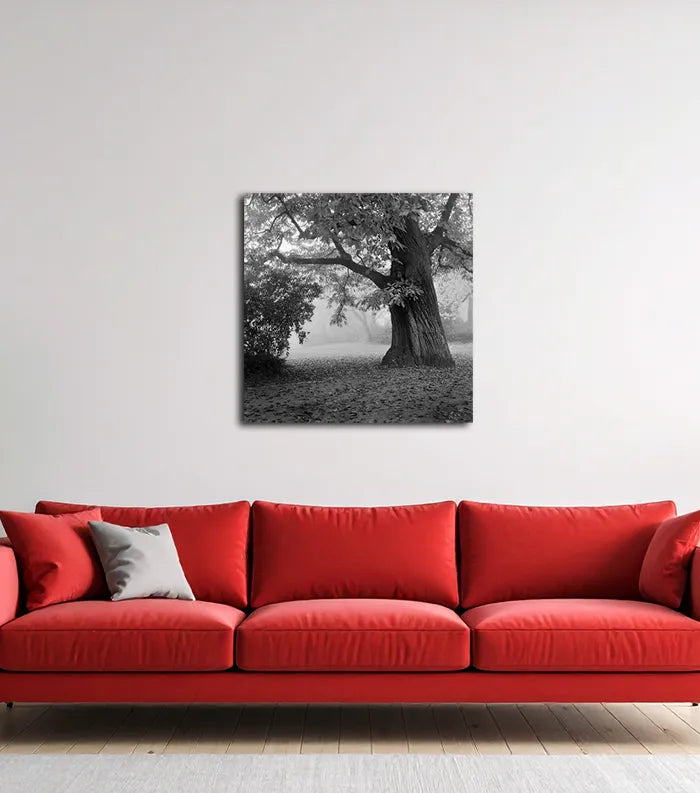 ein alter Baum, schwarz weiß fotografie, leichter nebel, an wand hängend