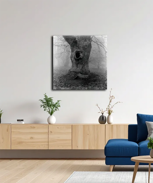 Ein alter Baum im Nebel, Detai des Stammes, s/w foto, quadratisch, an heller Wand  hängend, 100 x 100 cm, Thomas Dalecki, Kunst-Direkt.de