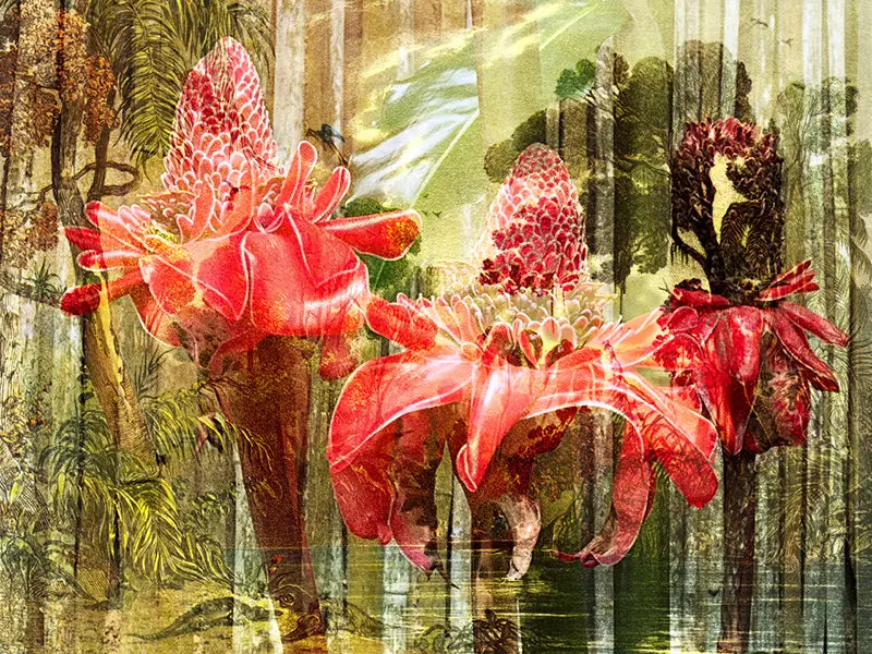 eine Zeichnung des brasilianischen Urwalds als Komposition mit einer roten Blüte, gelbe, grüne und rote Farbtöne, Details des Hintergrundes mit der roten  Blüte