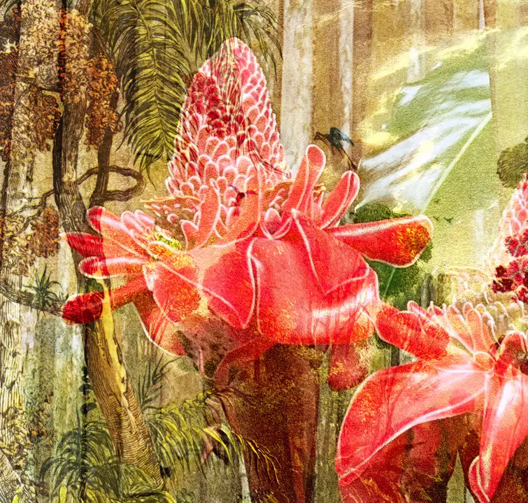 eine Zeichnung des brasilianischen Urwalds als Komposition mit einer roten Blüte, gelbe, grüne und rote Farbtöne, Details der roten Blüte