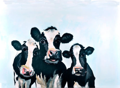 Die drei Grazien – Fineart Print von Christel Keller, drei Schwarzbunt-Rinder mit ausdrucksstarken Augen, lichtblauer Hintergrund | Kunst-Direkt.de
