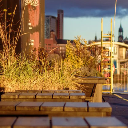 Das Farbfoto von J.P. Ehlers zeigt ein mildes Licht, die Elbe, einen Anleger, ein urbanes Fotos, detailansicht mit  Grasbüschel