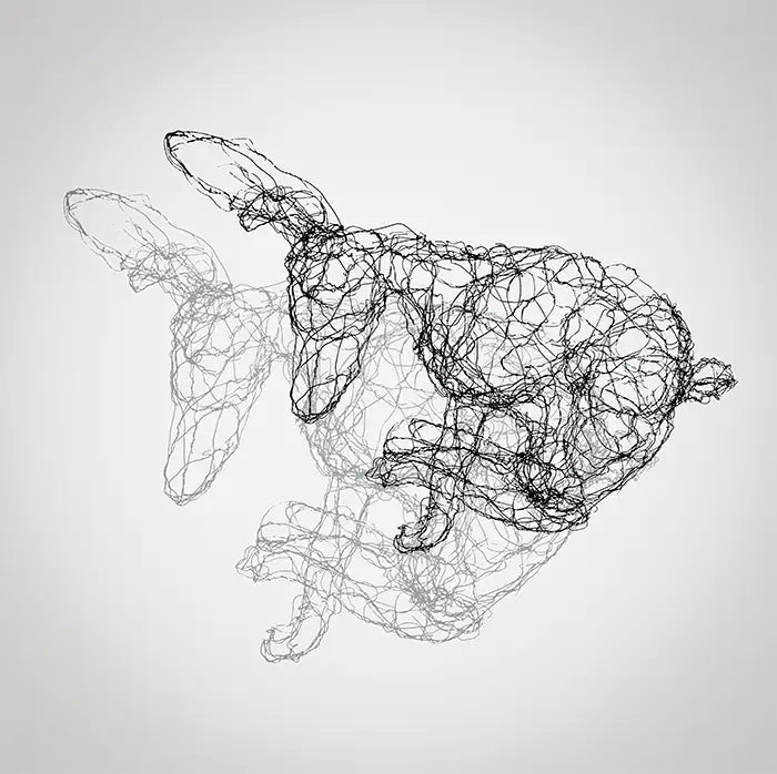 Rabbit Fineart Print