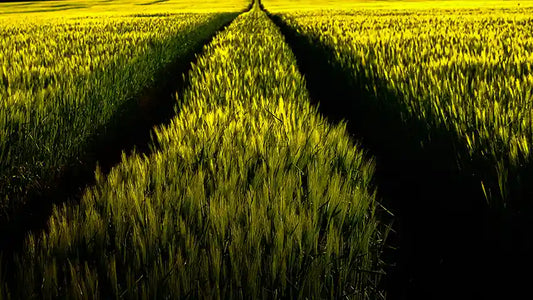 Infinity