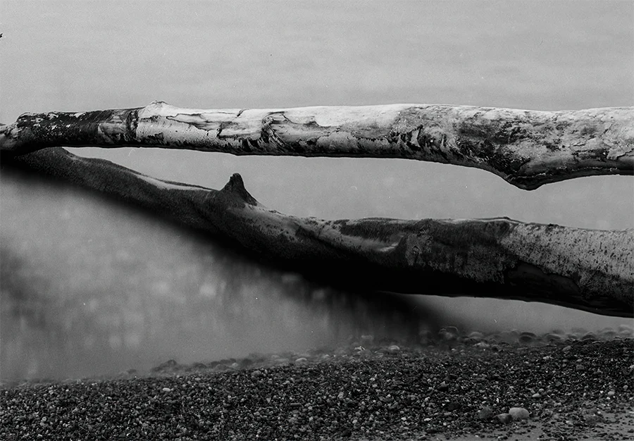 Ein baum liegt im Wasser, langzeitbelichtung, s/w Foto, querformat, detail baum