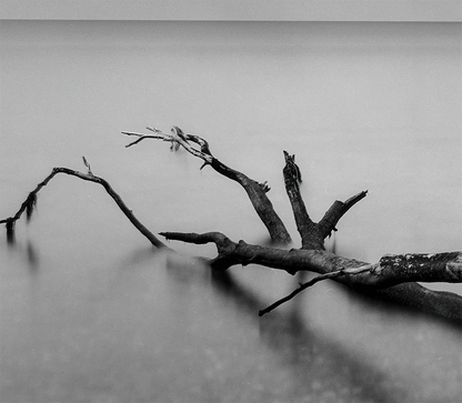 Ein baum liegt im Wasser, langzeitbelichtung, s/w Foto, querformat, Detail baum im Wasser