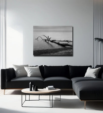 Ein baum liegt im Wasser, langzeitbelichtung, s/w Foto, querformat, an heller wand  hängend, 120 x 90 cm, Thomas Dalecki, Kunst-Direkt.de