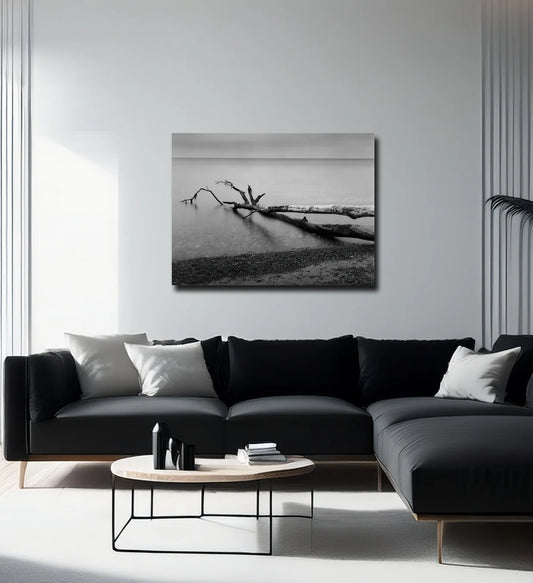 Ein baum liegt im Wasser, langzeitbelichtung, s/w Foto, querformat, an heller wand  hängend, 120 x 90 cm, Thomas Dalecki, Kunst-Direkt.de