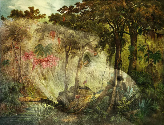 eine Zeichnung des brasilianischen Urwalds als Komposition mit einem Gorilla, gelbe, grüne und braune Farbtöne