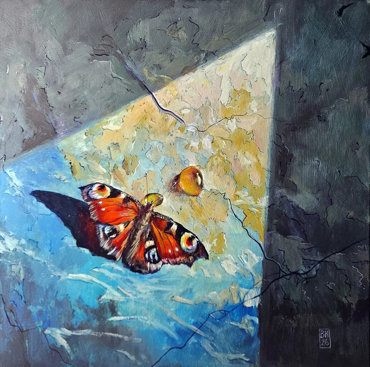 Schmetterling – Ölgemälde von Björn Kirste, 20x20 cm, Tagpfauenauge im diagonalen Lichtkegel, Orange-Rot und Himmelsblau, Unikat 2026 | Kunst-Direkt.de
