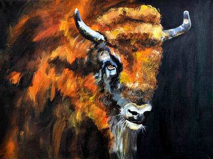 Wisent – Fineart Print von Christel Keller, 120x90 cm, europäischer Bison in feurigen Orange-Gold-Tönen vor tiefem Schwarz | Kunst-Direkt.de
