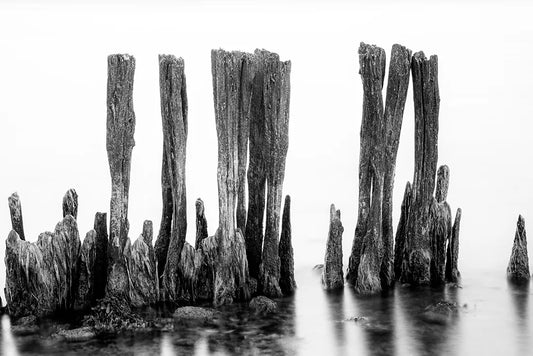 Bohlen 4 – Fotokunst von Birte Zabel, verwitterte Holzpfähle als archaische Stelen in spiegelglatter Wasserfläche, Schwarz-Weiß | Kunst-Direkt.de
