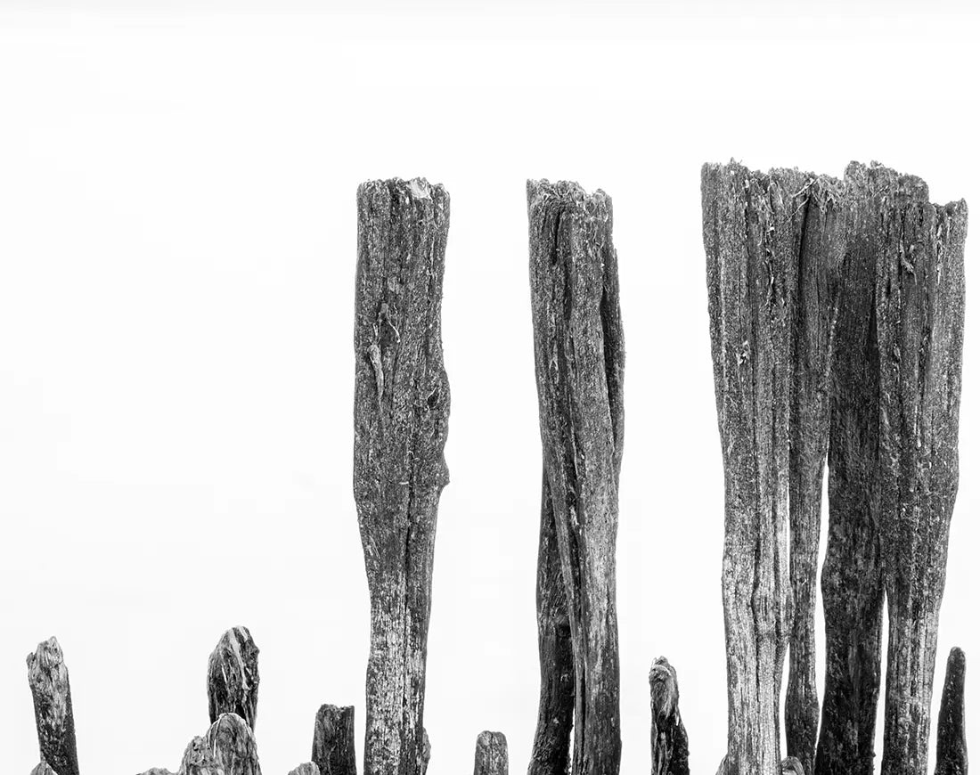 Detailaufnahme Bohlen 4 – Spiegelglatte Wasserfläche, surreale schwebende Atmosphäre, heller Hintergrund, Birte Zabel | Kunst-Direkt.de
