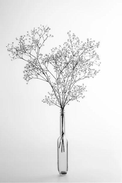 Gypsophila 1 – Fotokunst von Birte Zabel, Schleierkraut in schlanker Glasvase, botanischer Minimalismus in Schwarz-Weiß | Kunst-Direkt.de
