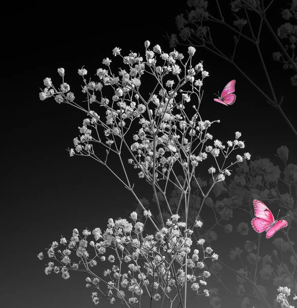 Detailaufnahme Gypsophila 2 – Leuchtend pinke Schmetterlinge als Farbakzent, matte Alu-Dibond-Oberfläche, Birte Zabel | Kunst-Direkt.de

