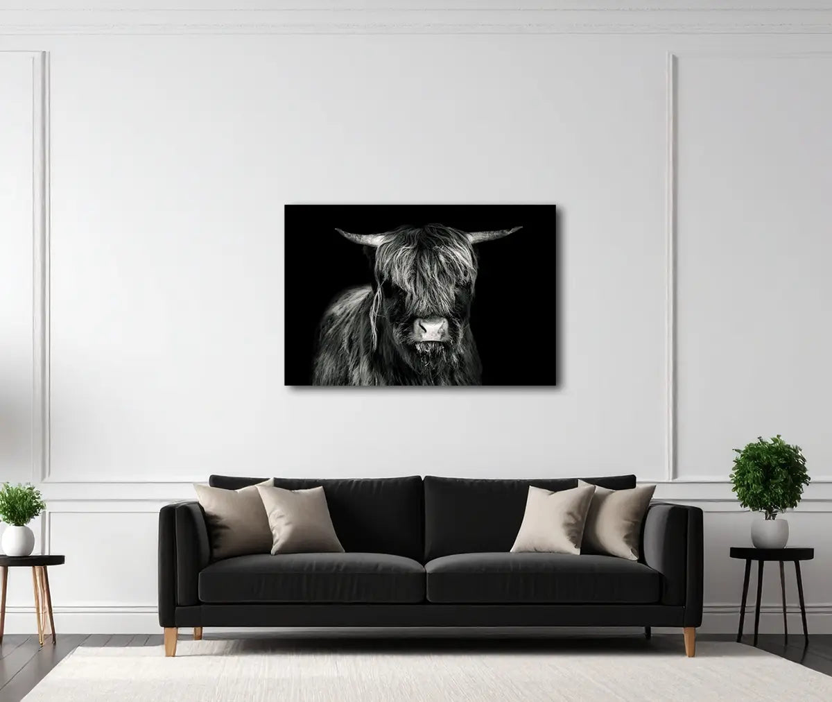 Hochlandrind 1 von Birte Zabel an der Wand – Fineart Print auf Alu-Dibond matt, limitiert auf 30 Exemplare, stoische Naturpräsenz | Kunst-Direkt.de
