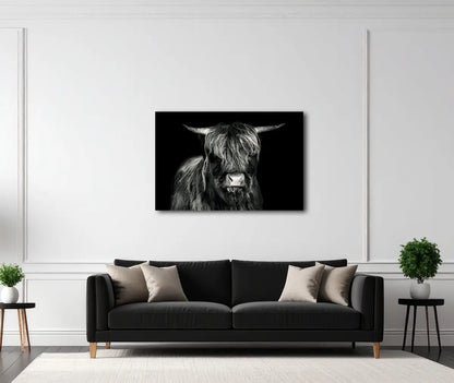 Hochlandrind 1 von Birte Zabel an der Wand – Fineart Print auf Alu-Dibond matt, limitiert auf 30 Exemplare, stoische Naturpräsenz | Kunst-Direkt.de
