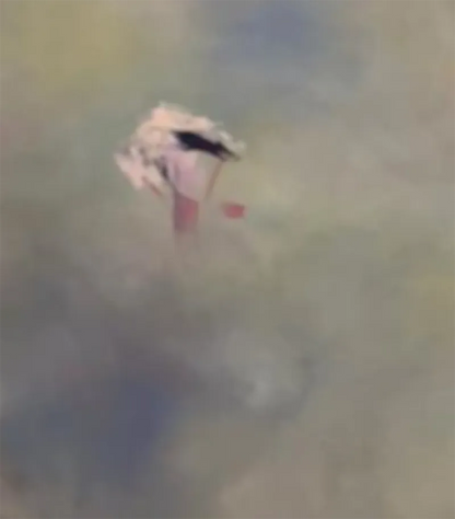 kleinne violette Blüten schweben über der Oberfläche des Bildes, querformat des Bildes, detals anderer Blüten