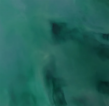 der transparente grüne Ozean, lichtreflexe auf der Oberfläche, heller und dunkle grüne Flächen auf der Oberfläche