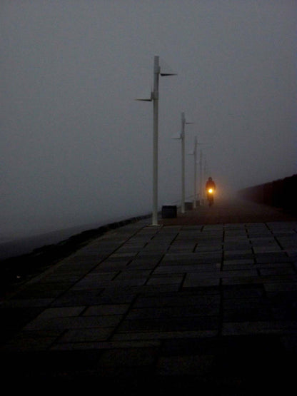 ein Radfahrer fährt in der Dunkelheit auf dem Deich, die Lampe des Rades leuchtet