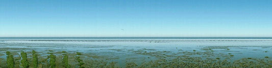 Panoramafoto des Watts vor Sylt, eine Möve ist zu sehen, weiter Horizont mit Nordsee