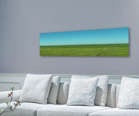 Panoramafoto von Sylt, grüne Wiese mit blauem  Himmel und schafe an hellgrauer wand hängend mit hellem Sofa